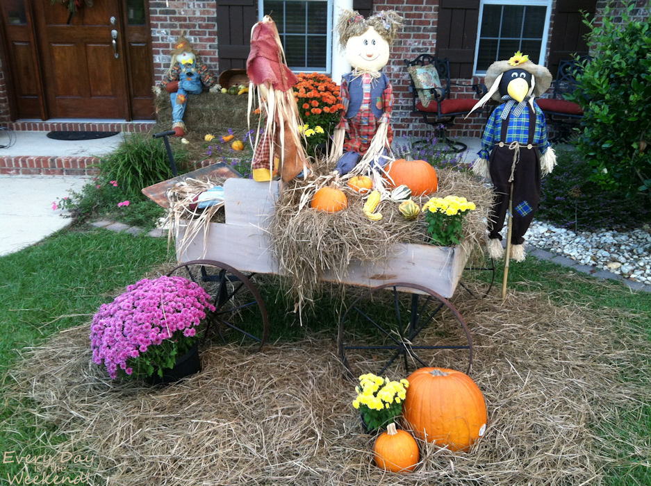 Every Day is the Weekend! It's Fall Y'all!