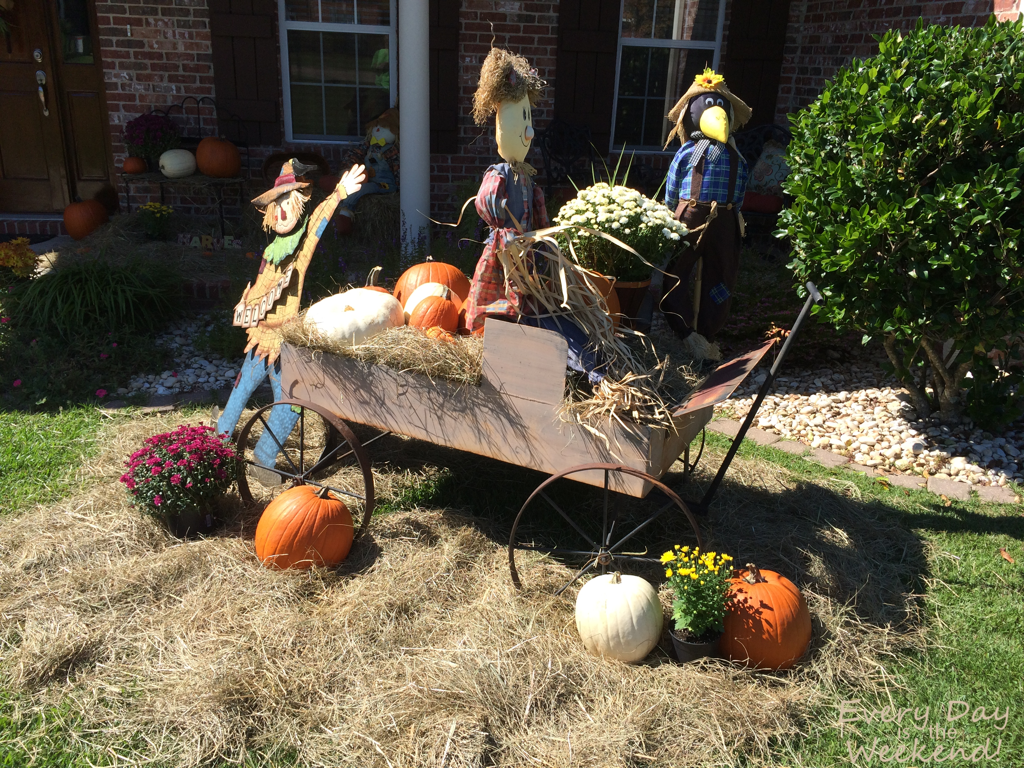 Every Day is the Weekend! It's Fall Y'all!