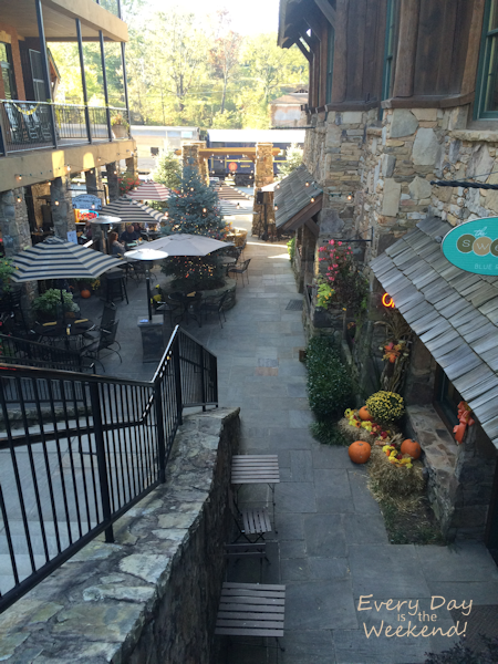 Destination: Blue Ridge, GA @ Every Day is the Weekend!