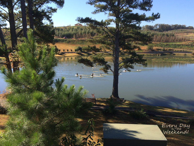Destination: Blue Ridge, GA @ Every Day is the Weekend!