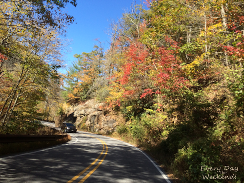 Destination: Blue Ridge, GA @ Every Day is the Weekend!