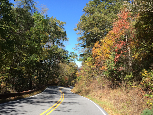 Destination: Blue Ridge, GA @ Every Day is the Weekend!